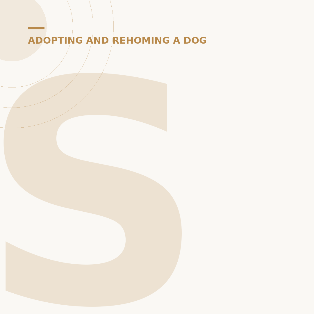 Senior Dogs for Adoption: Finding Your Older Companion