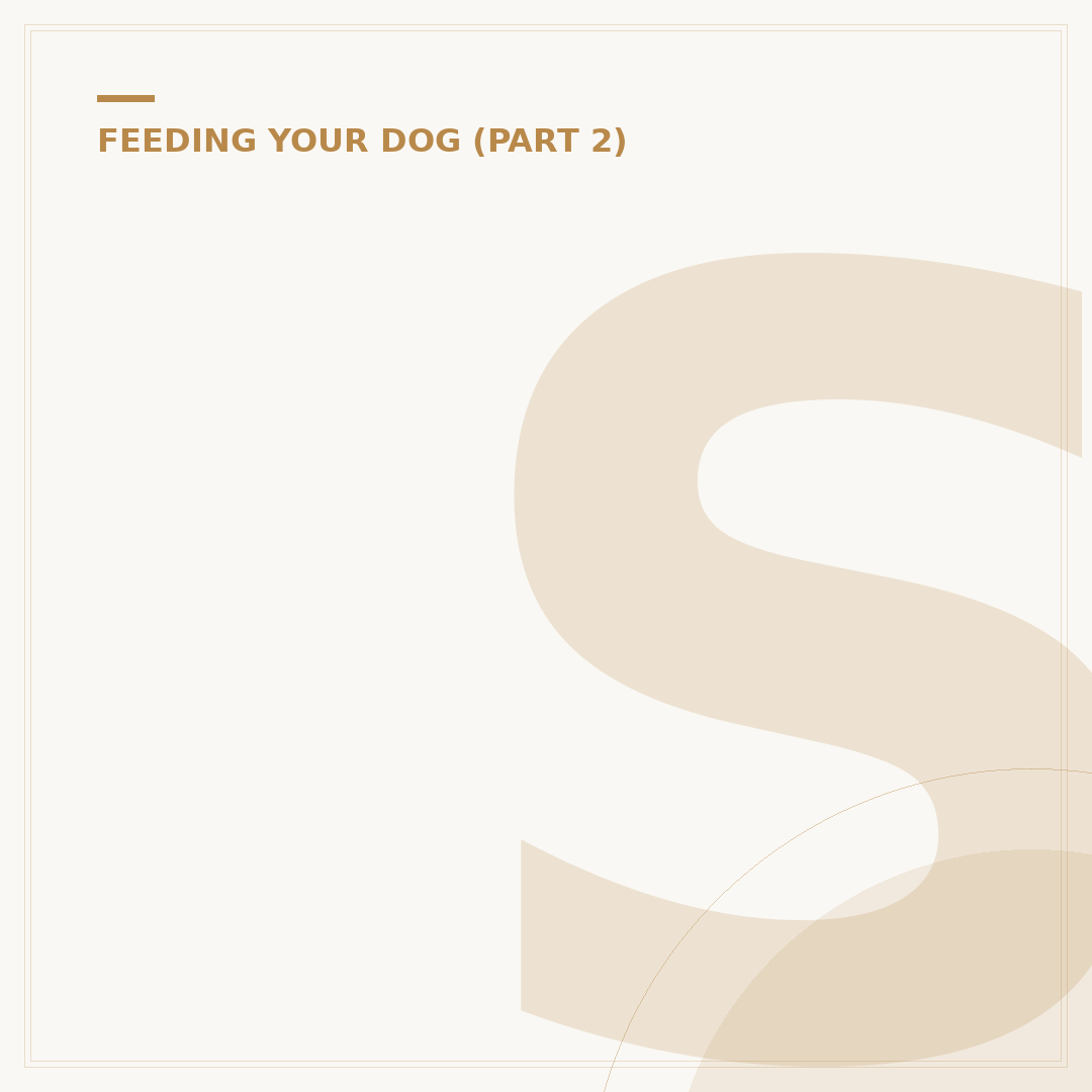 Sensitive Puppy Food: Choosing the Right Diet