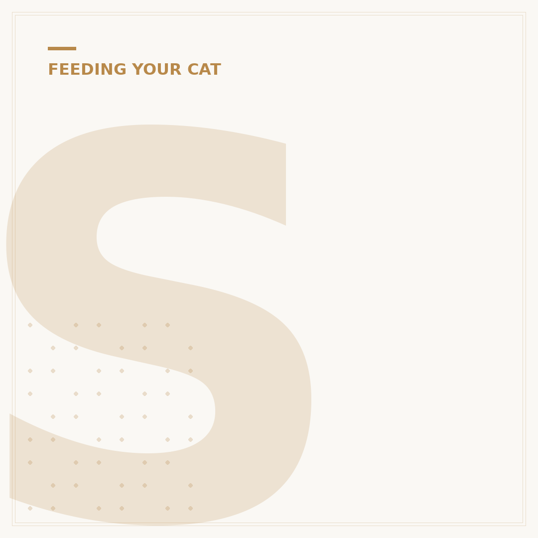 Seriously Good Kitten Food: What Your New Pet Needs