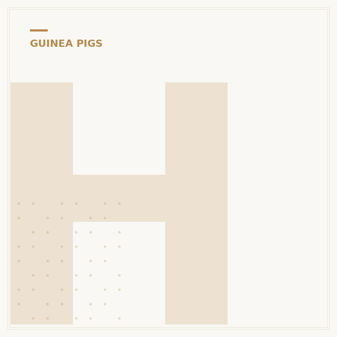 How to Sex Guinea Pigs