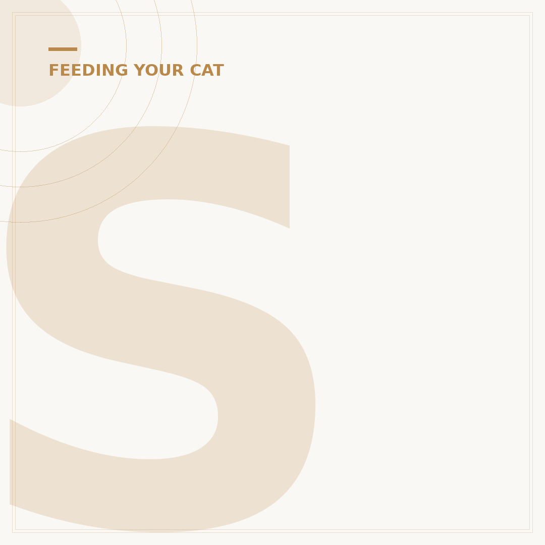 Sheba Cat Food