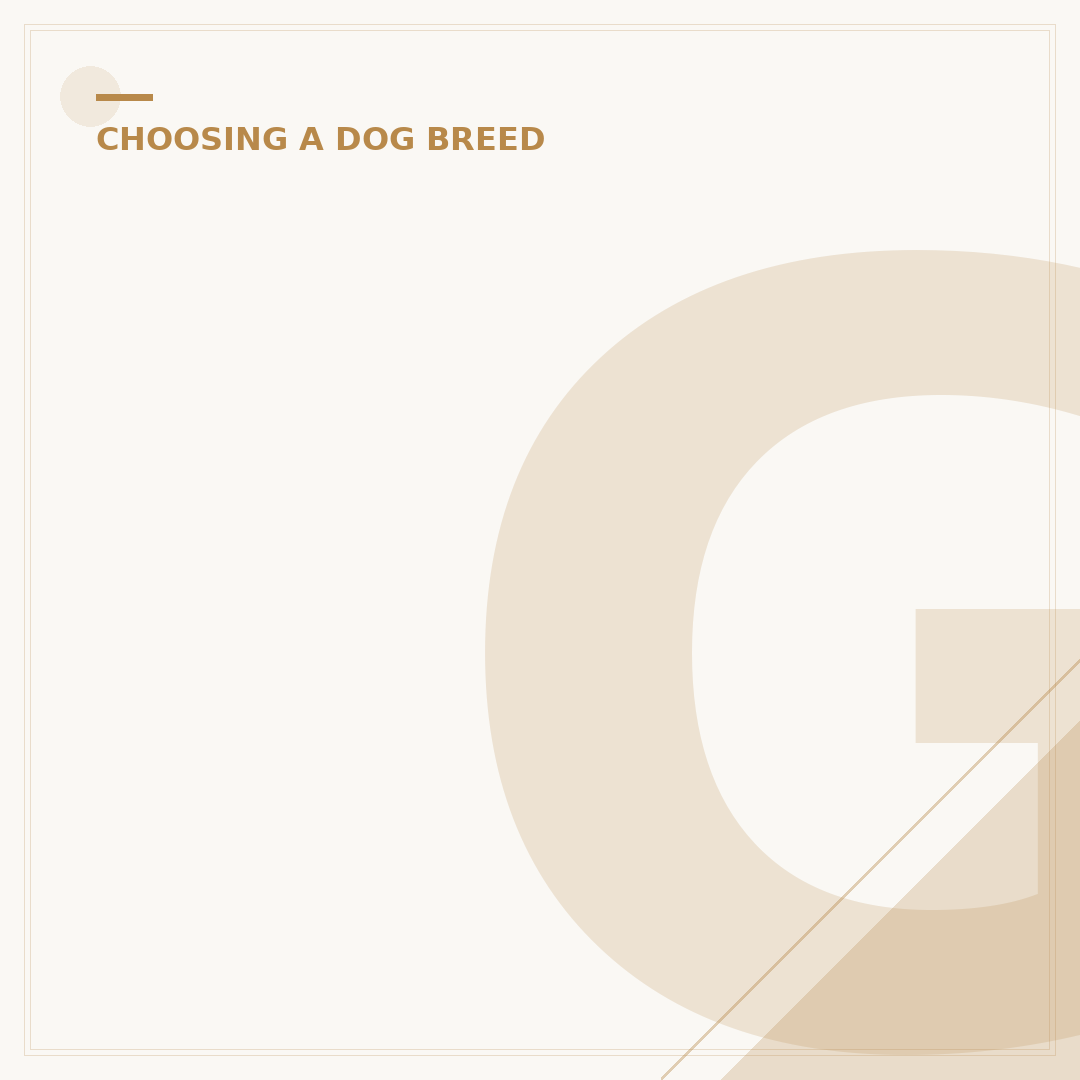 German Shepherd Mix Dogs: Traits, Temperament, Ownership