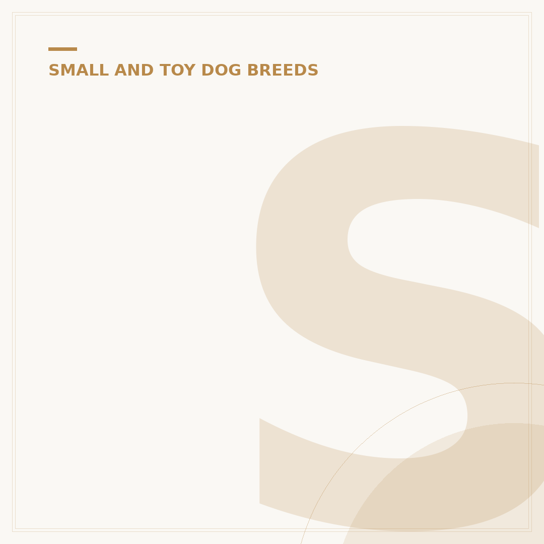 Shih Tzu Normal Weight: Understanding Your Dog's Ideal Size