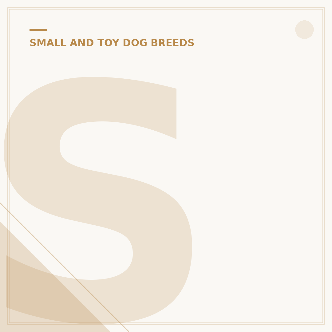 Shih Tzu and Poodle Breed: Traits, Care, & Temperament