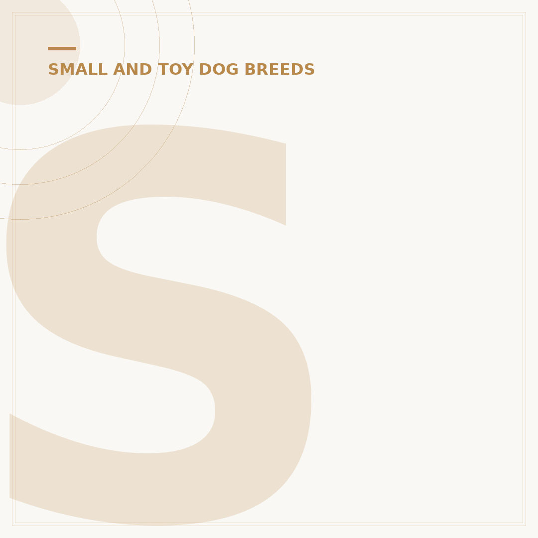 Shih Tzu Poodle Cross Dogs: Traits, Care & Temperament