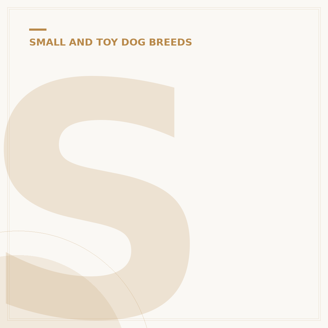 Shih Tzu Poodle Mix: What to Know About This Designer Dog