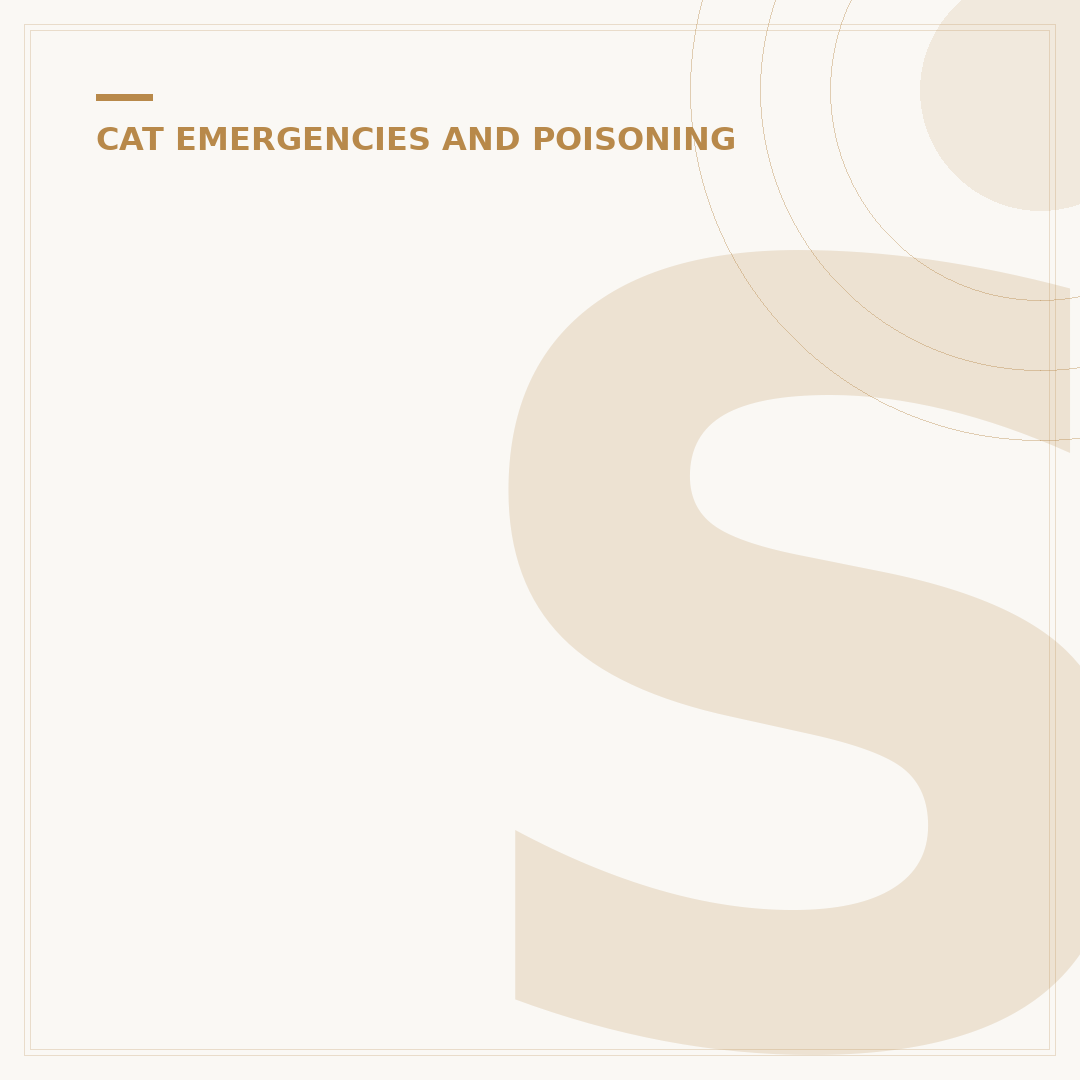 Signs of Heat Stroke in Cats: What to Watch For