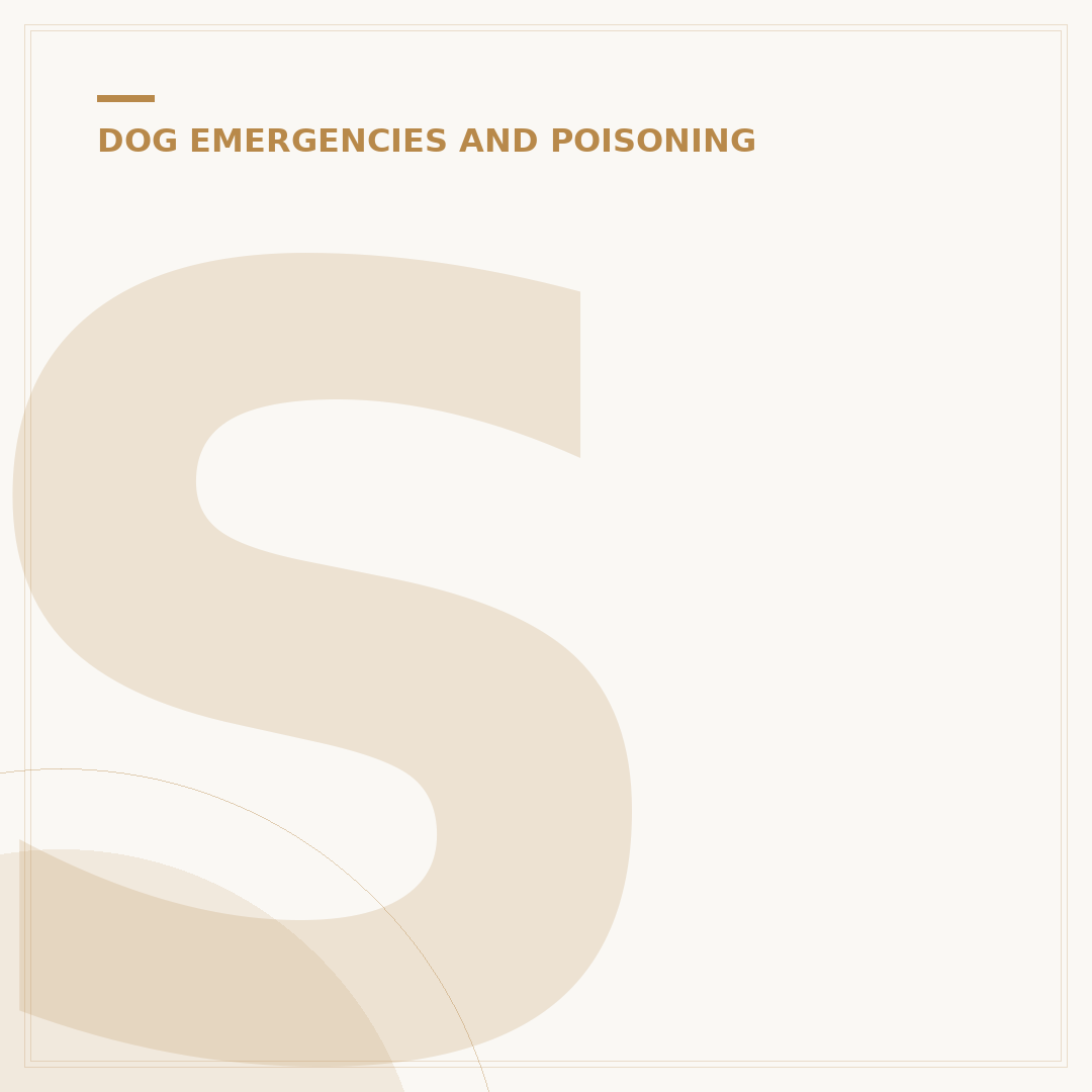 Signs of Heatstroke in Dogs: What to Look For