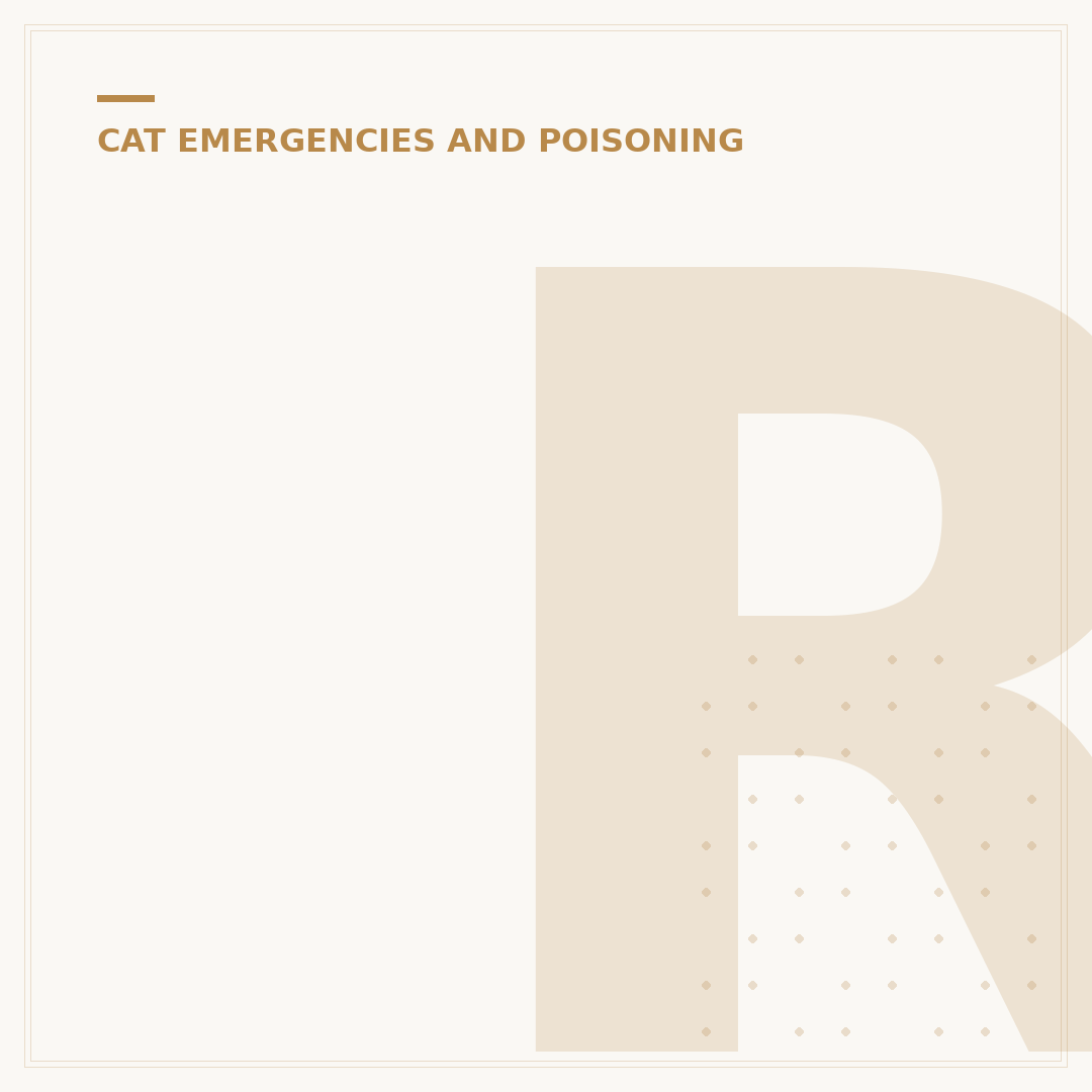 Recognising Signs of Poisoning in Cats