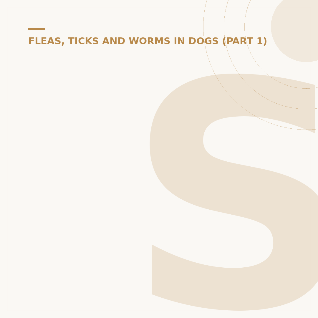 Silksong Fleas: What They Could Mean