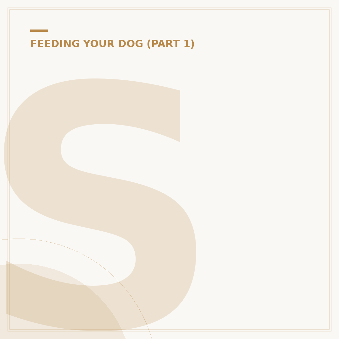 Skinner's Dog Food: What Pet Owners Need to Know
