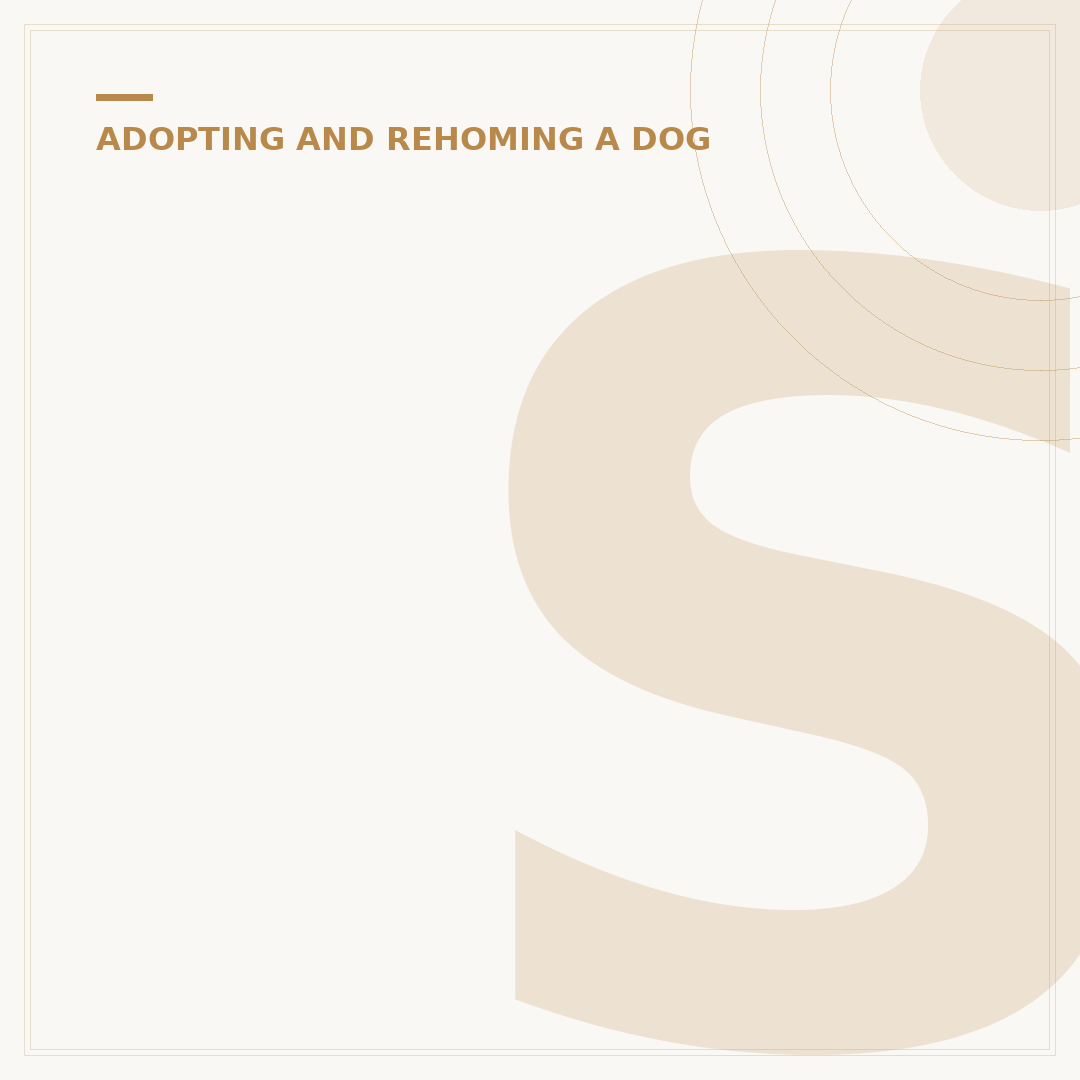 Small Puppies for Adoption: Your Adoption Journey