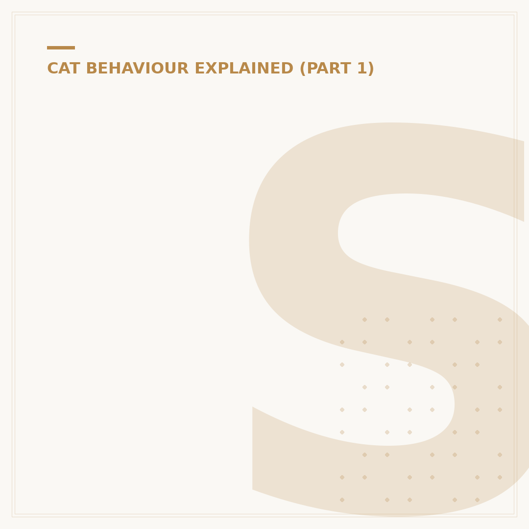 Smart Cat Litter: What It Is and How It Works