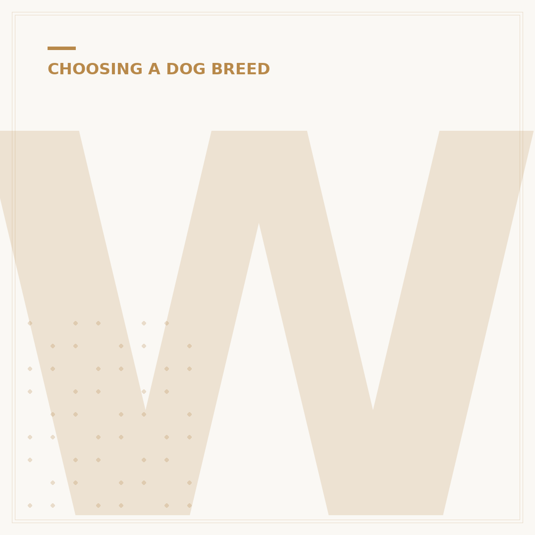 Which Dogs Are the Smartest Breeds?