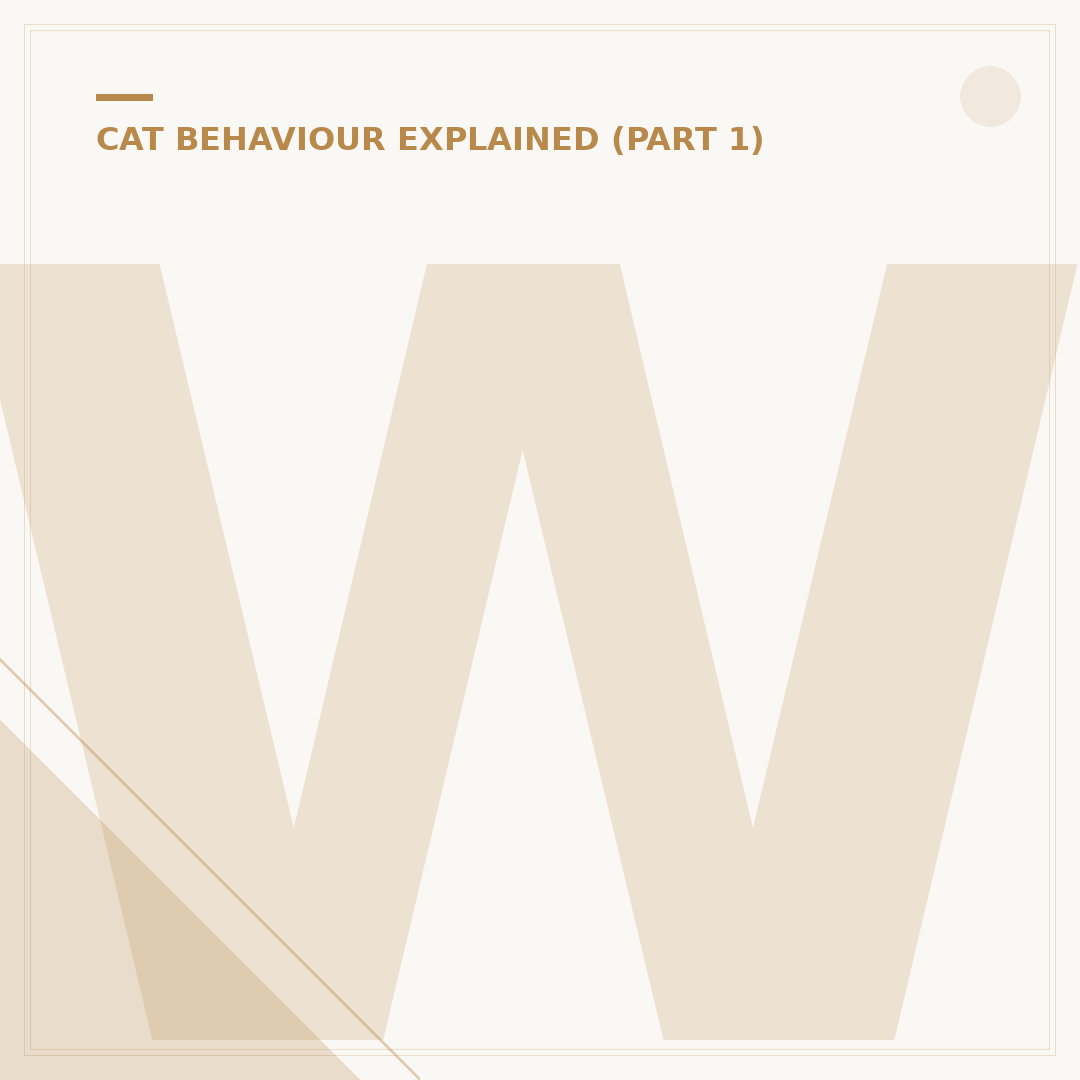 What Smells Do Cats Hate? Deterrents & Preferences