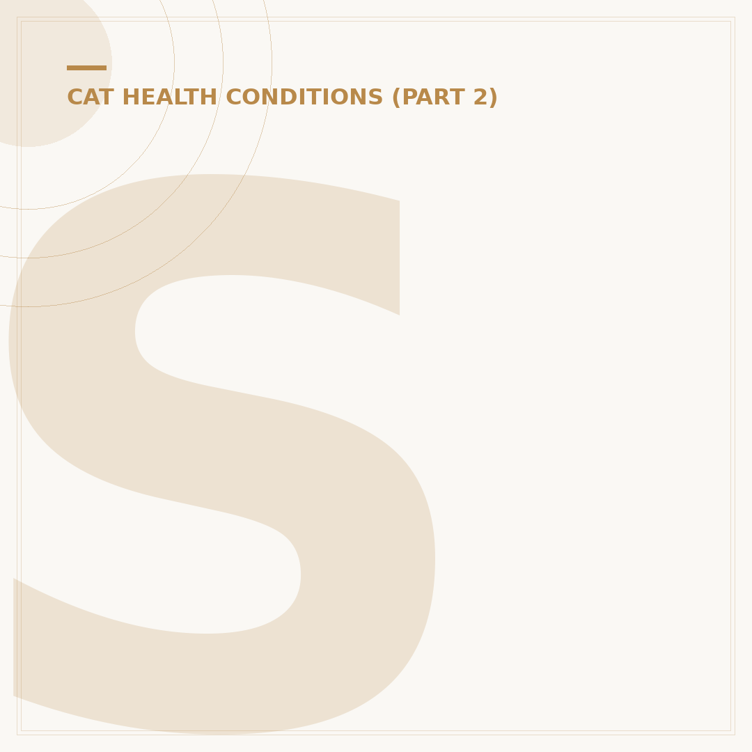 Soft Cone for Cats: Comforting Post-Vet Care