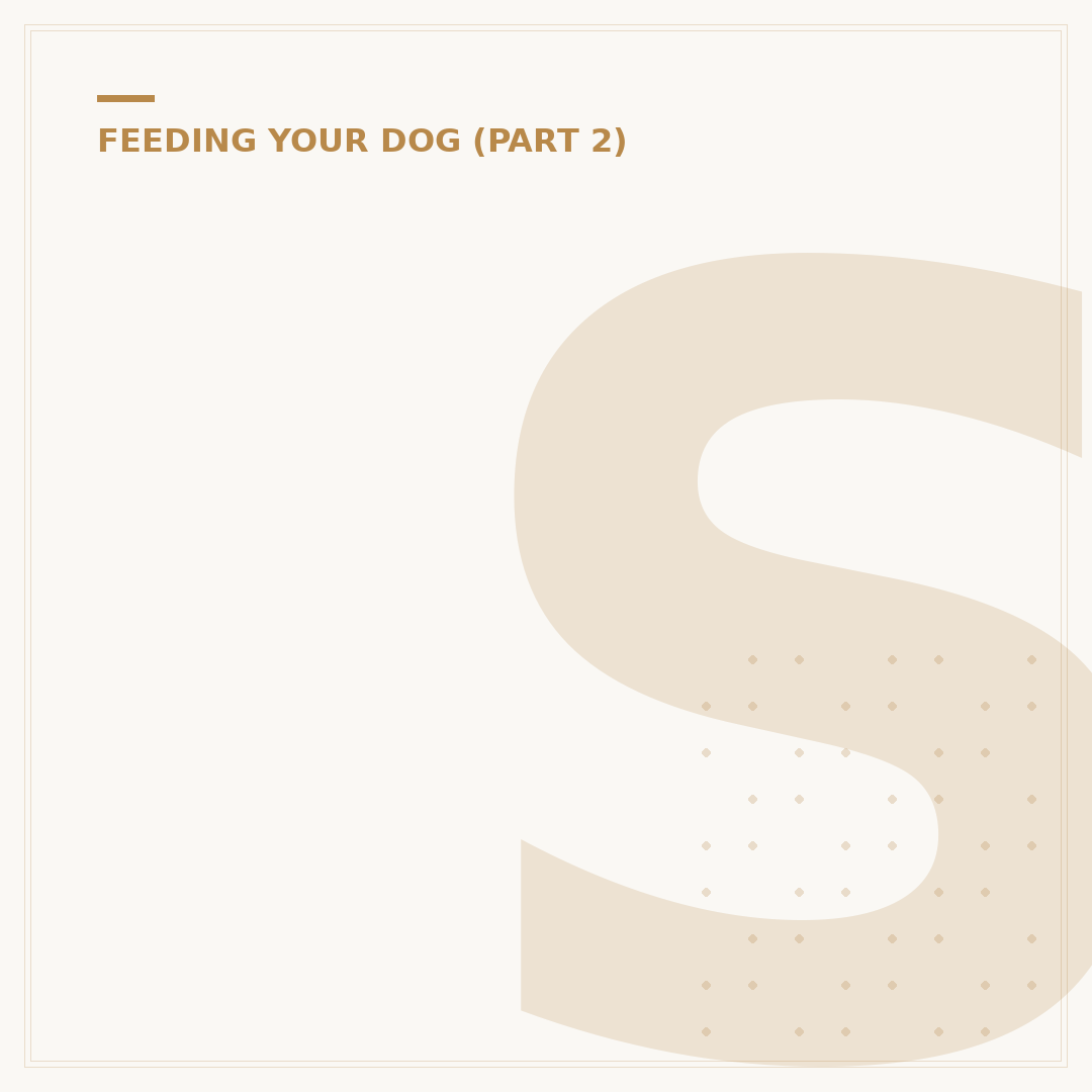 Soft Dog Treats: Why Your Dog Will Love Them