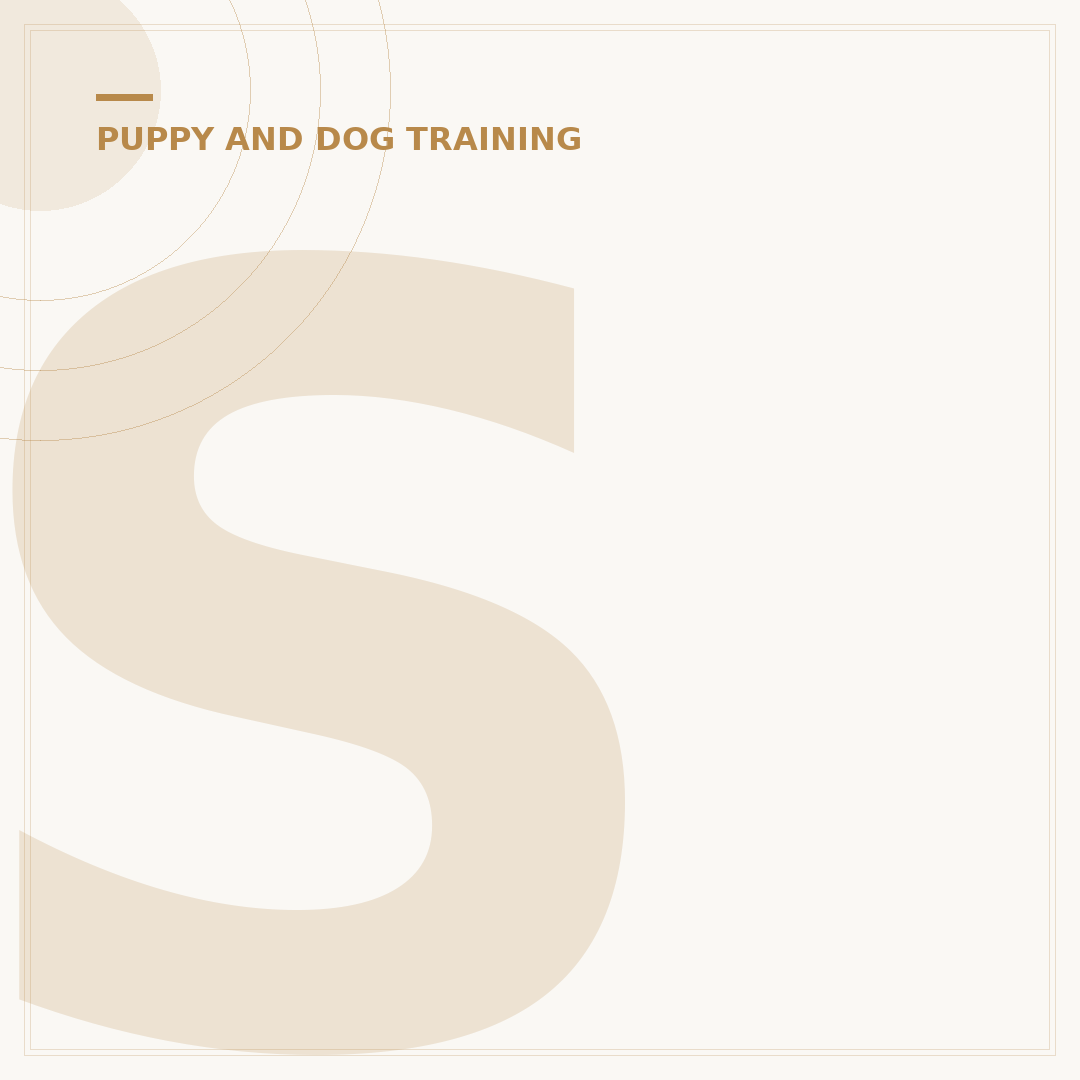 Southend Dog Training: Find Local Support