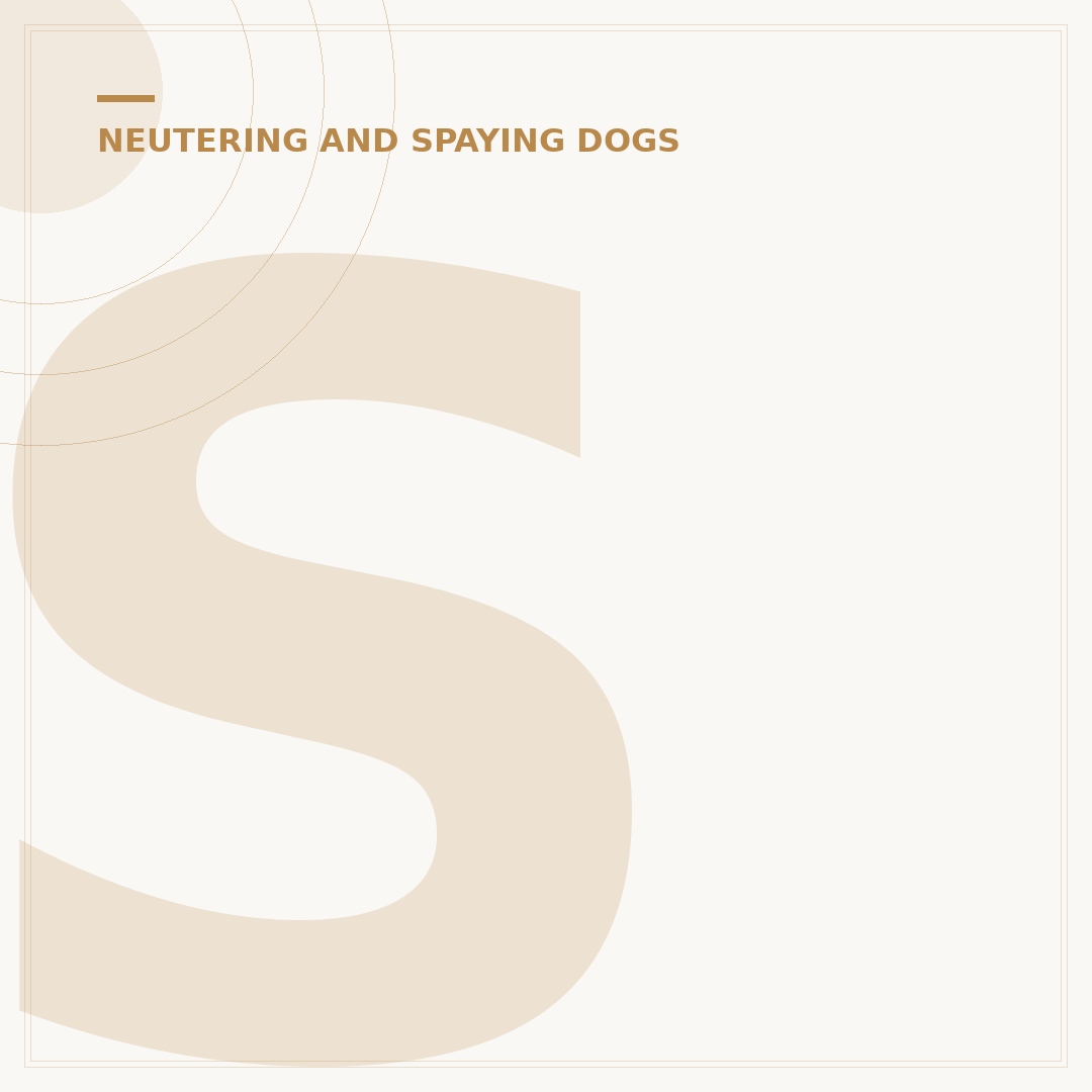 Spay or Neuter Definition: What It Means for Pets