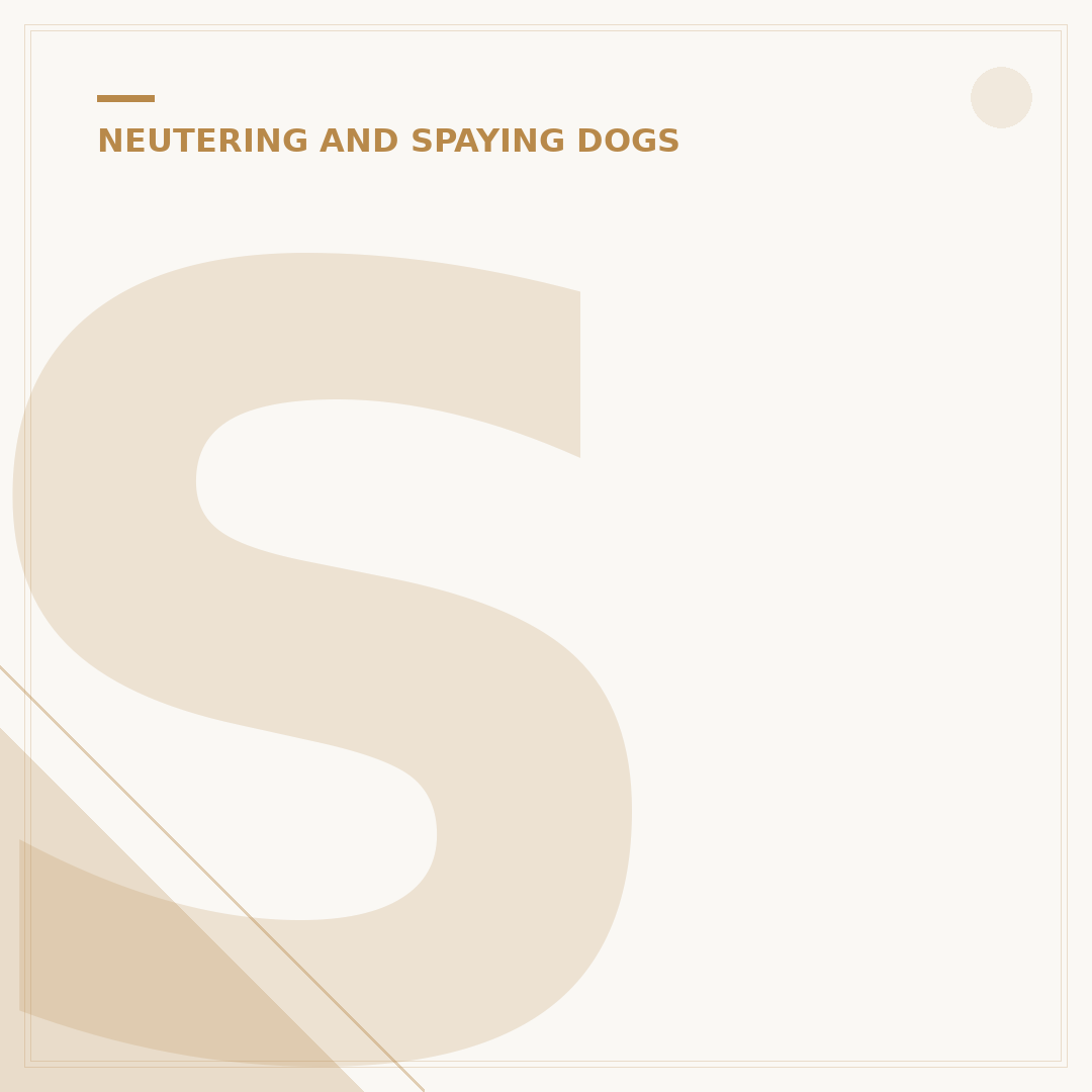 Spay or Neuter a Dog