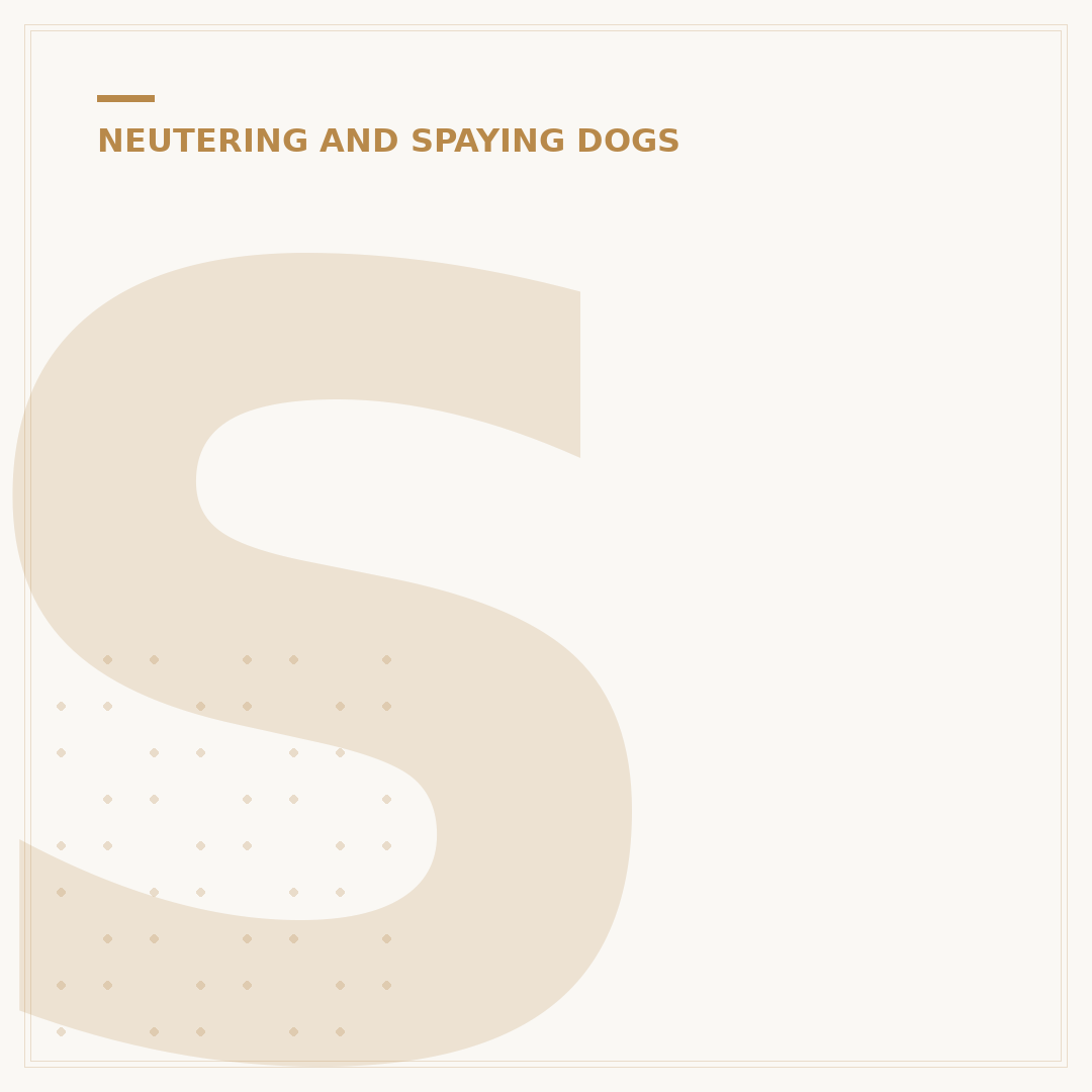 Spaying or Neutering Meaning: What You Need to Know