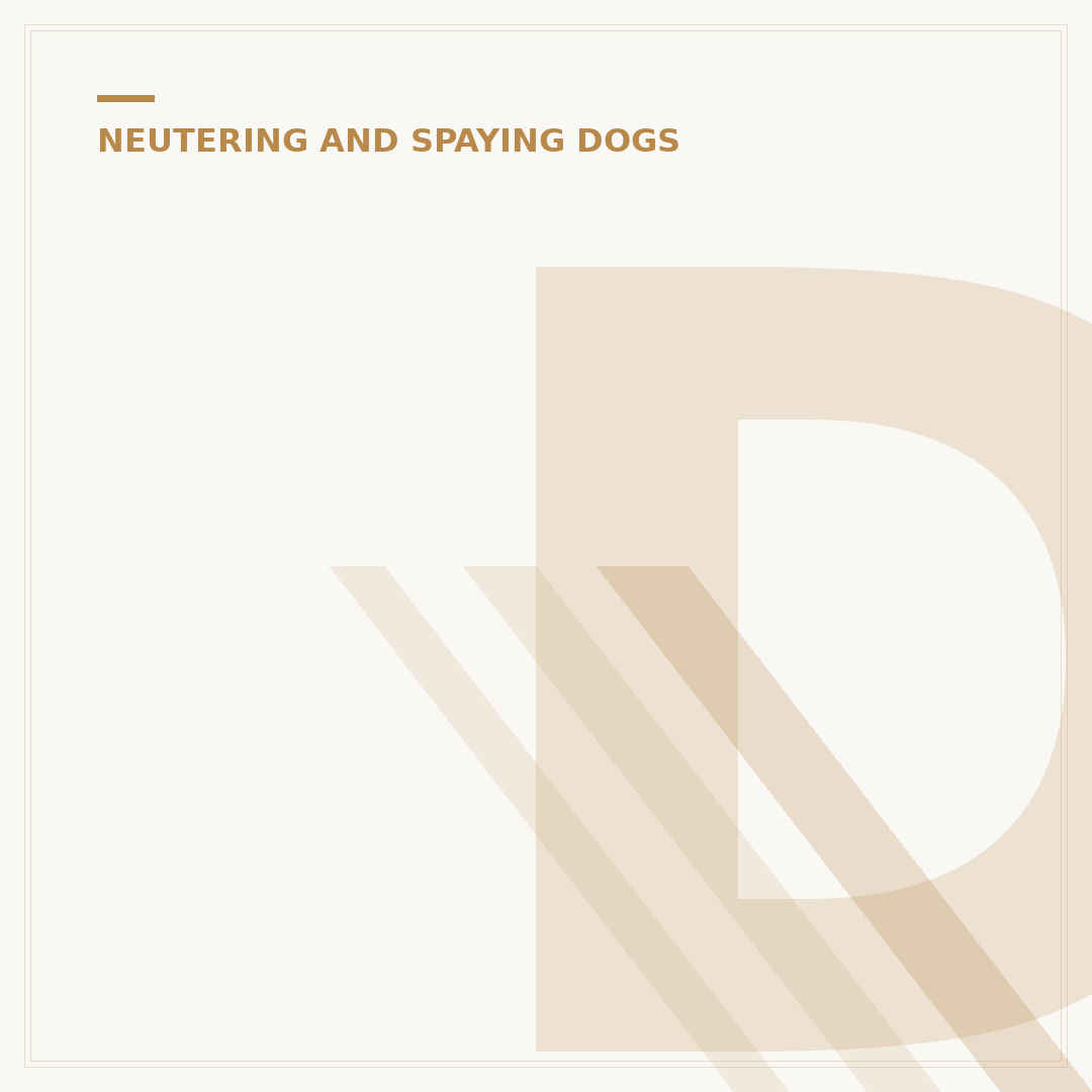 Does Spaying a Dog Calm Them Down?