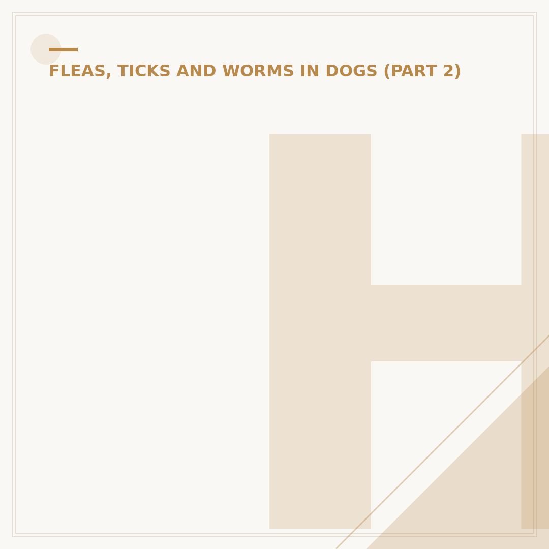 How to Spot a Tick on a Dog's Fur