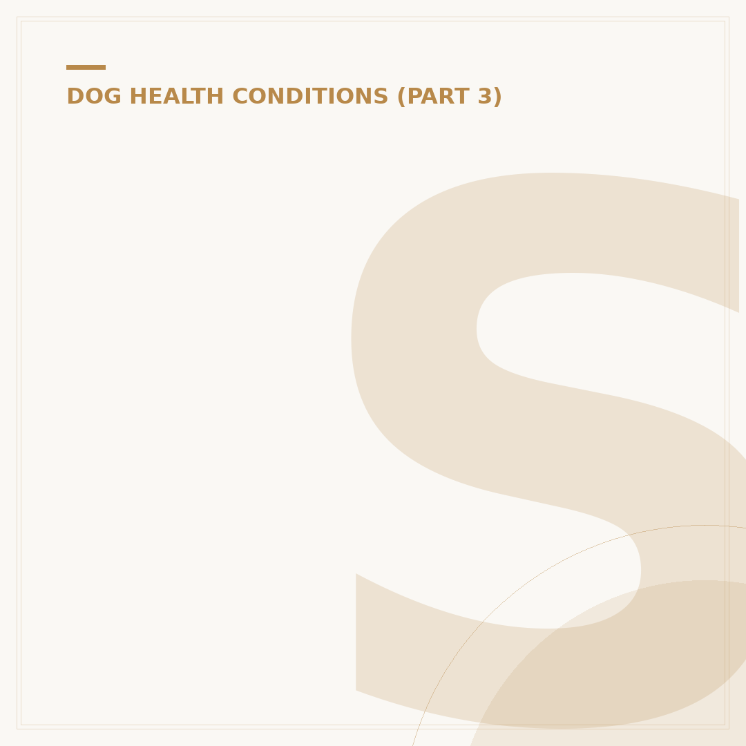 Squamous Cell Cancer in Dogs: What You Need to Know