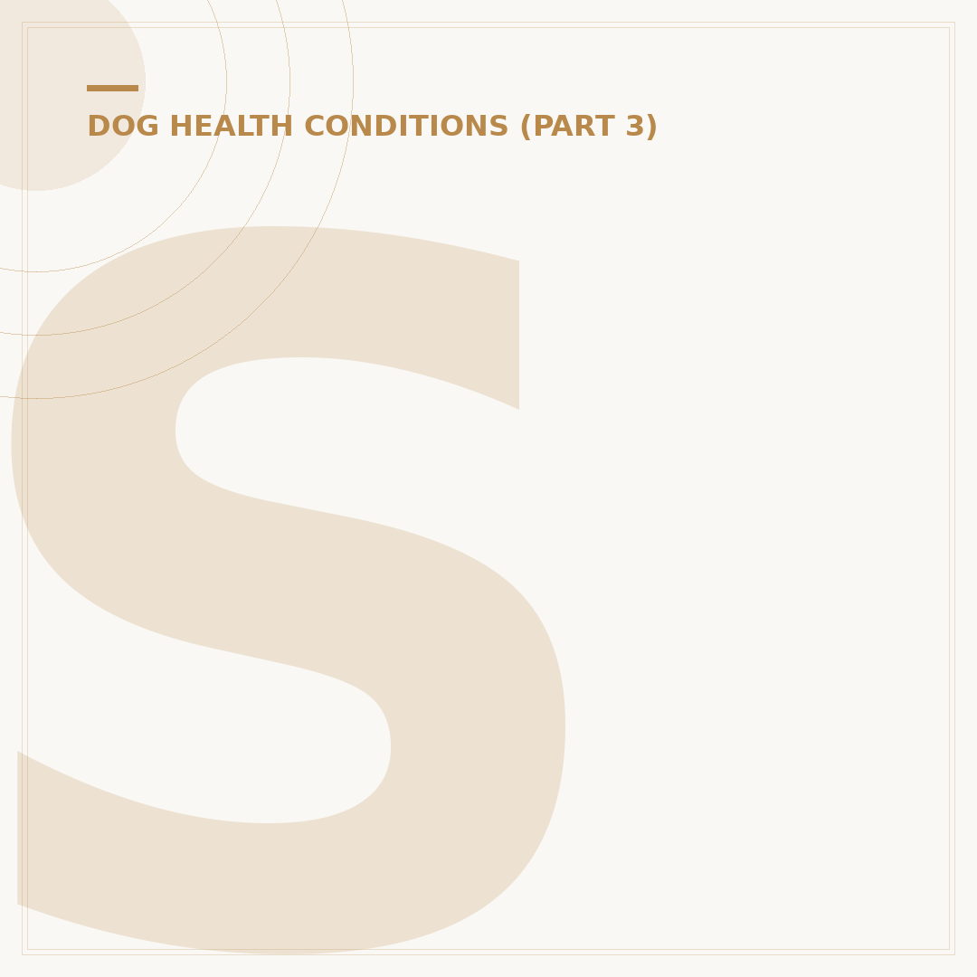 Stage 4 Periodontal Disease in Dogs: Treatment Options