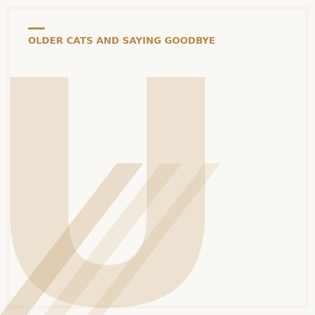 Understanding the Stages of Death in Cats