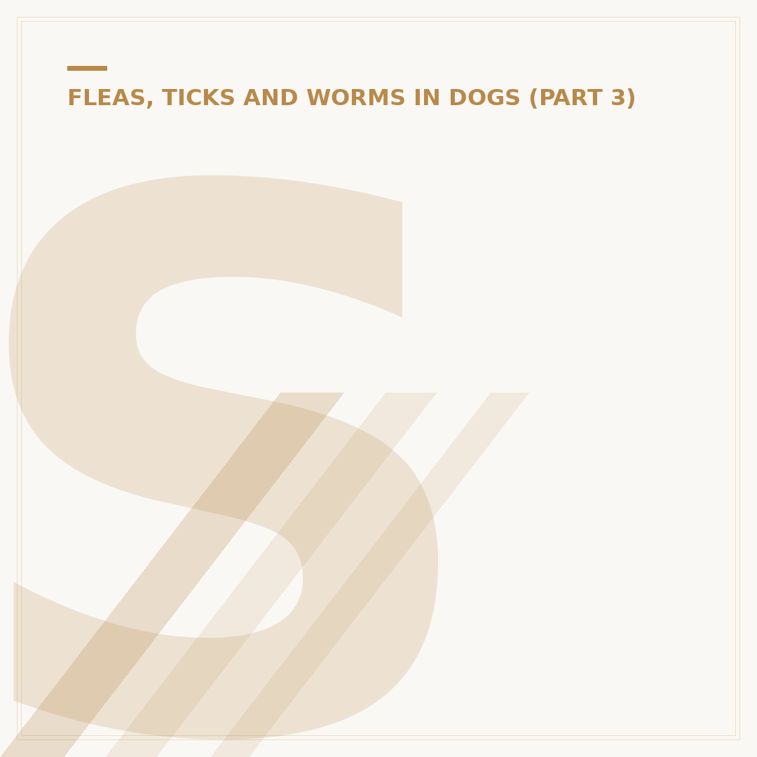 Steam Cleaning for Fleas