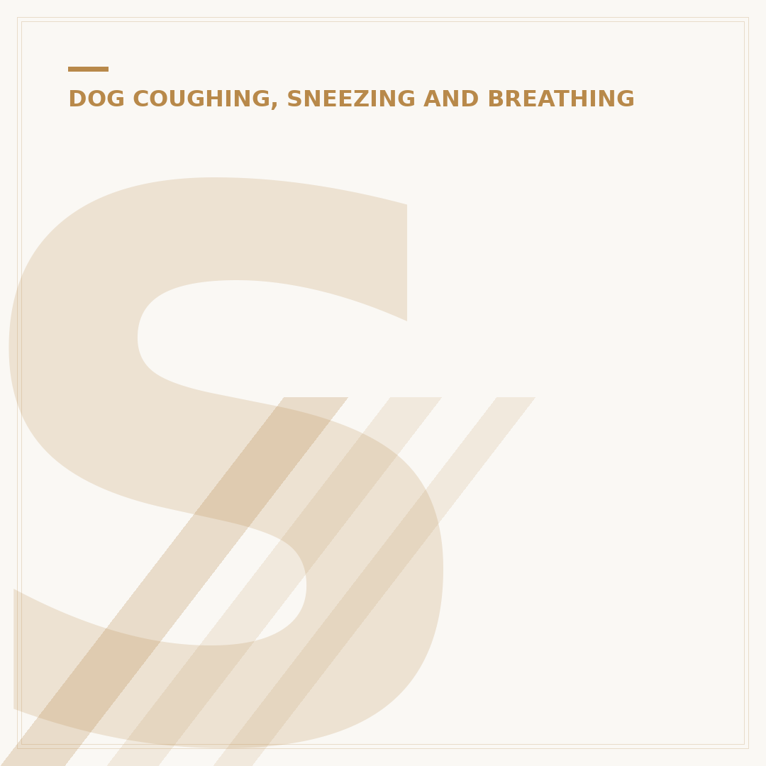 Strange Breathing in Dogs: Causes & What to Check