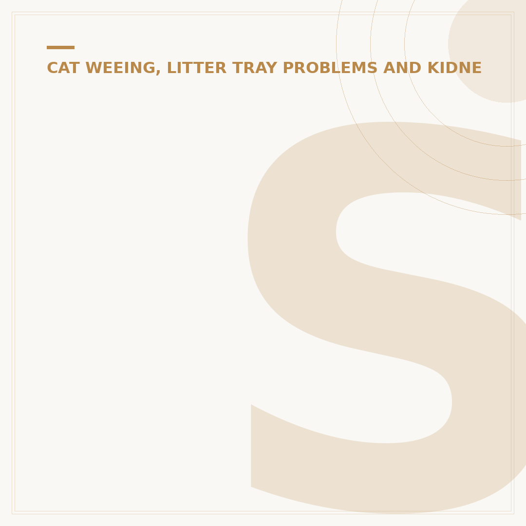 Stress Cystitis in Cats: Causes, Signs & Treatment