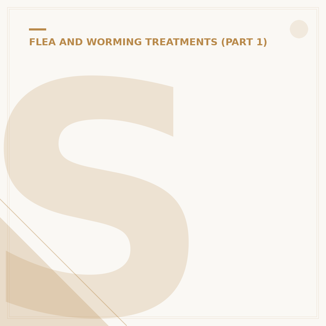 Strong Flea Treatment for Dogs: What Works