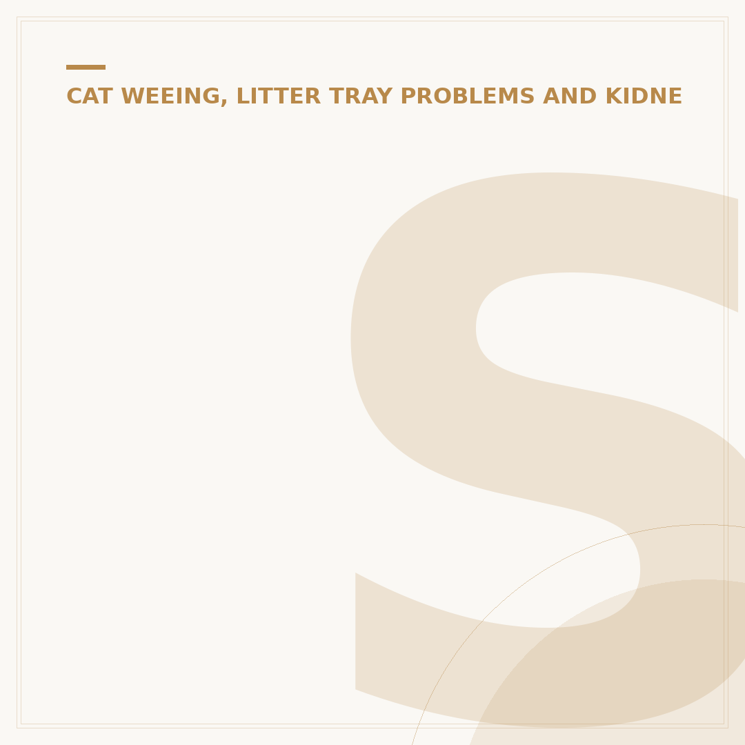 Struvite Crystals in Cats: Treatment Explained