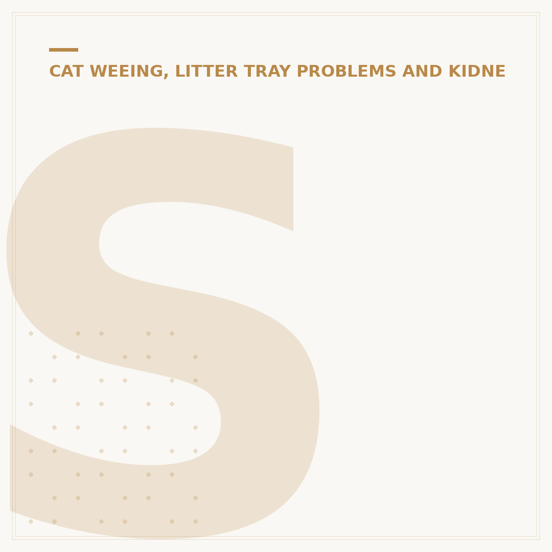 Struvite Crystals in Cats: Causes and Management