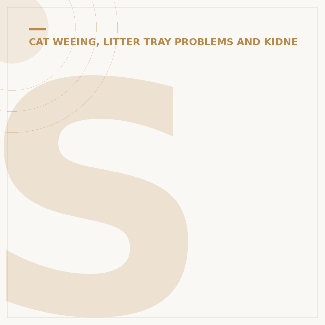 Struvite Stones in Cats: Causes, Symptoms & Care