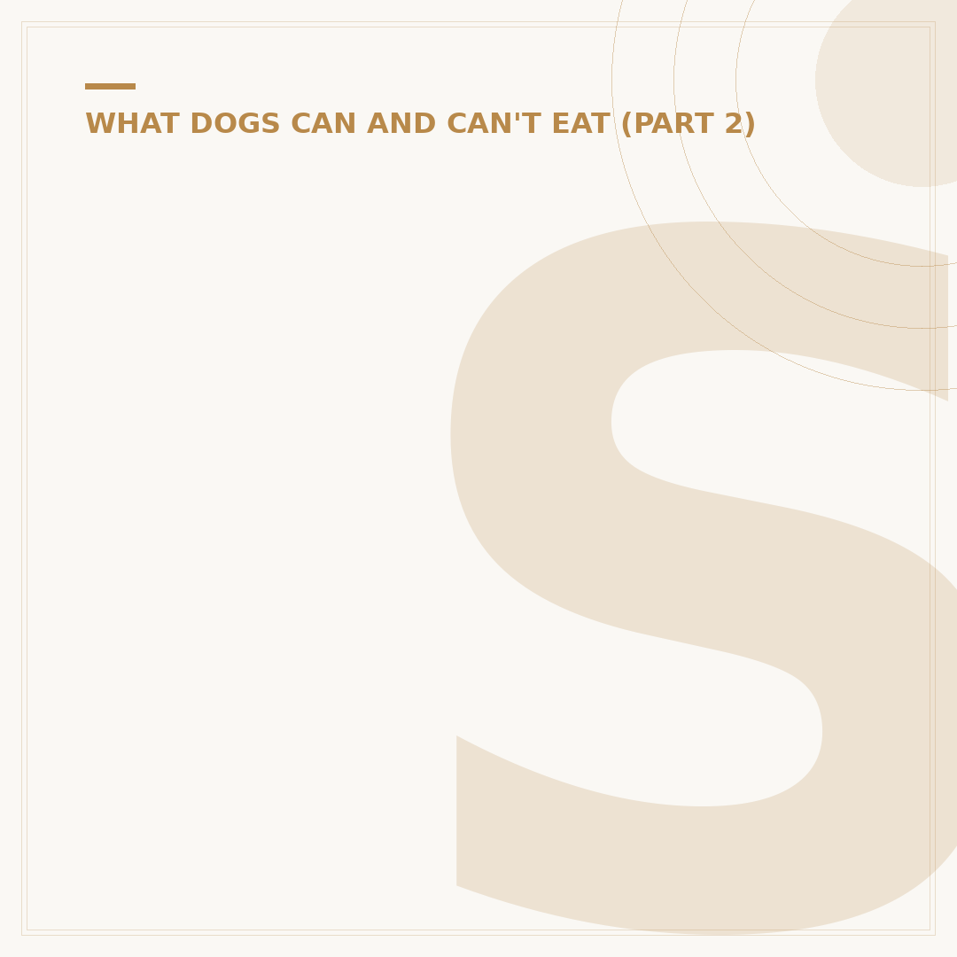 Suntan Cream for Dogs: Protect Your Pet's Skin