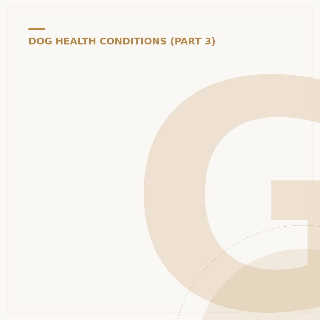 Gastric Cancer Symptoms in Dogs: What to Watch For