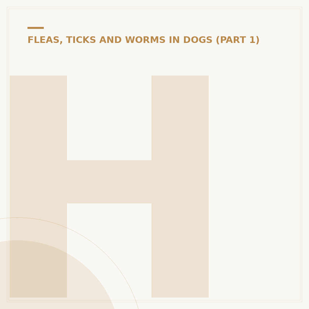 How to Take Out a Tick from a Dog Safely