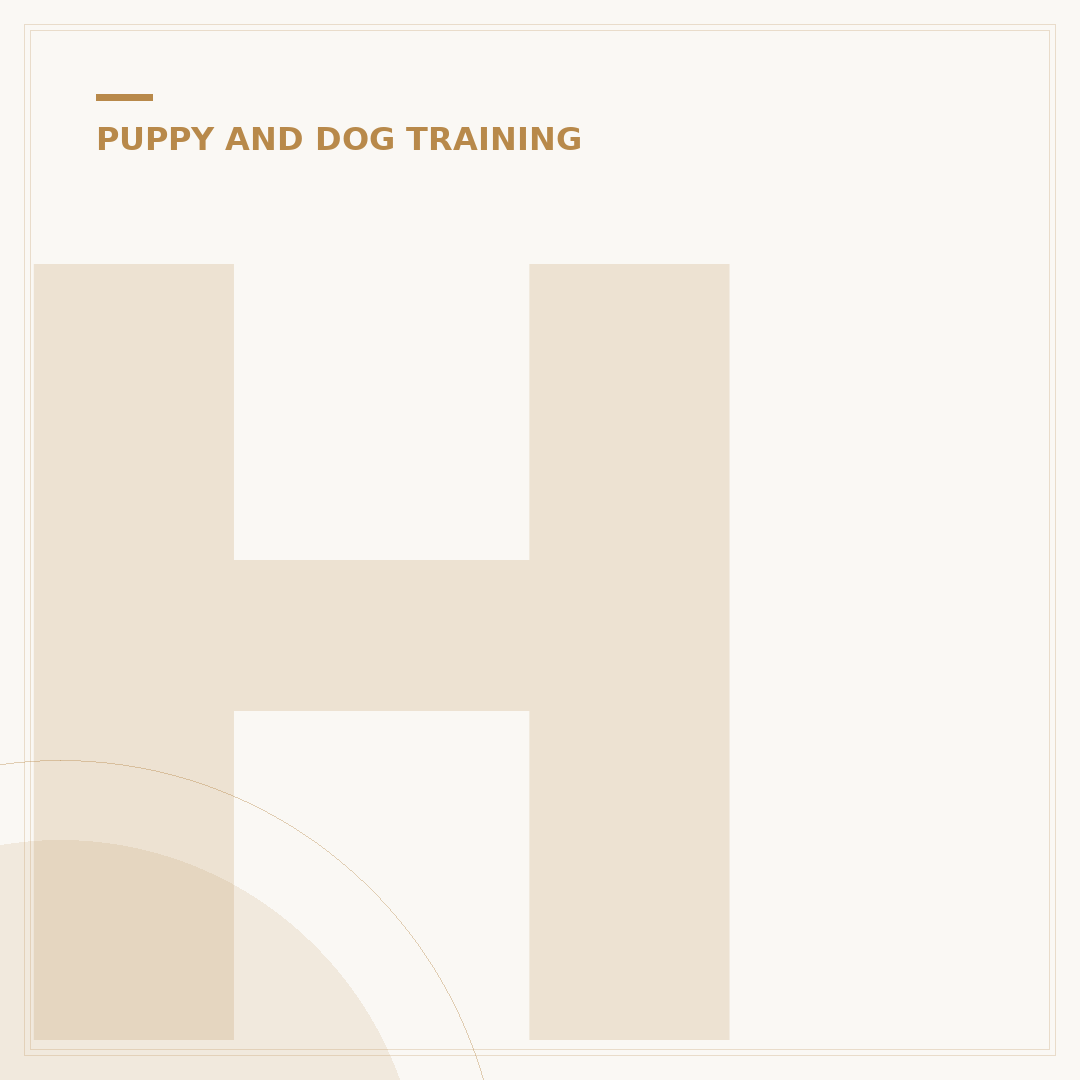 How to Teach a Puppy Not to Bite