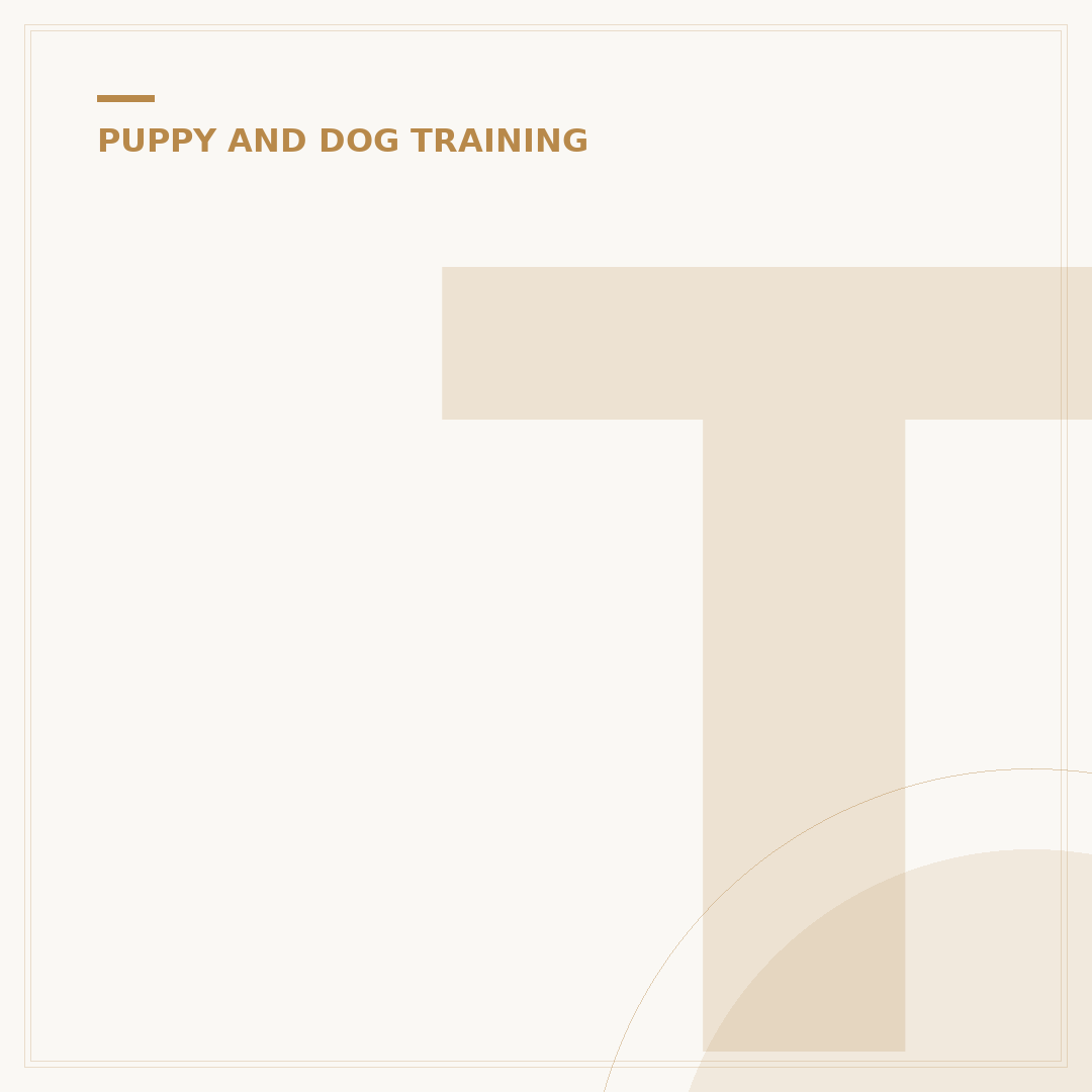 Teaching Recall in Dogs