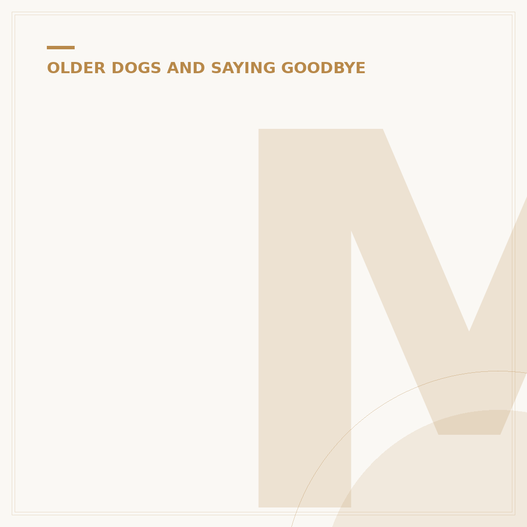 Mac DeMarco's Album This Old Dog