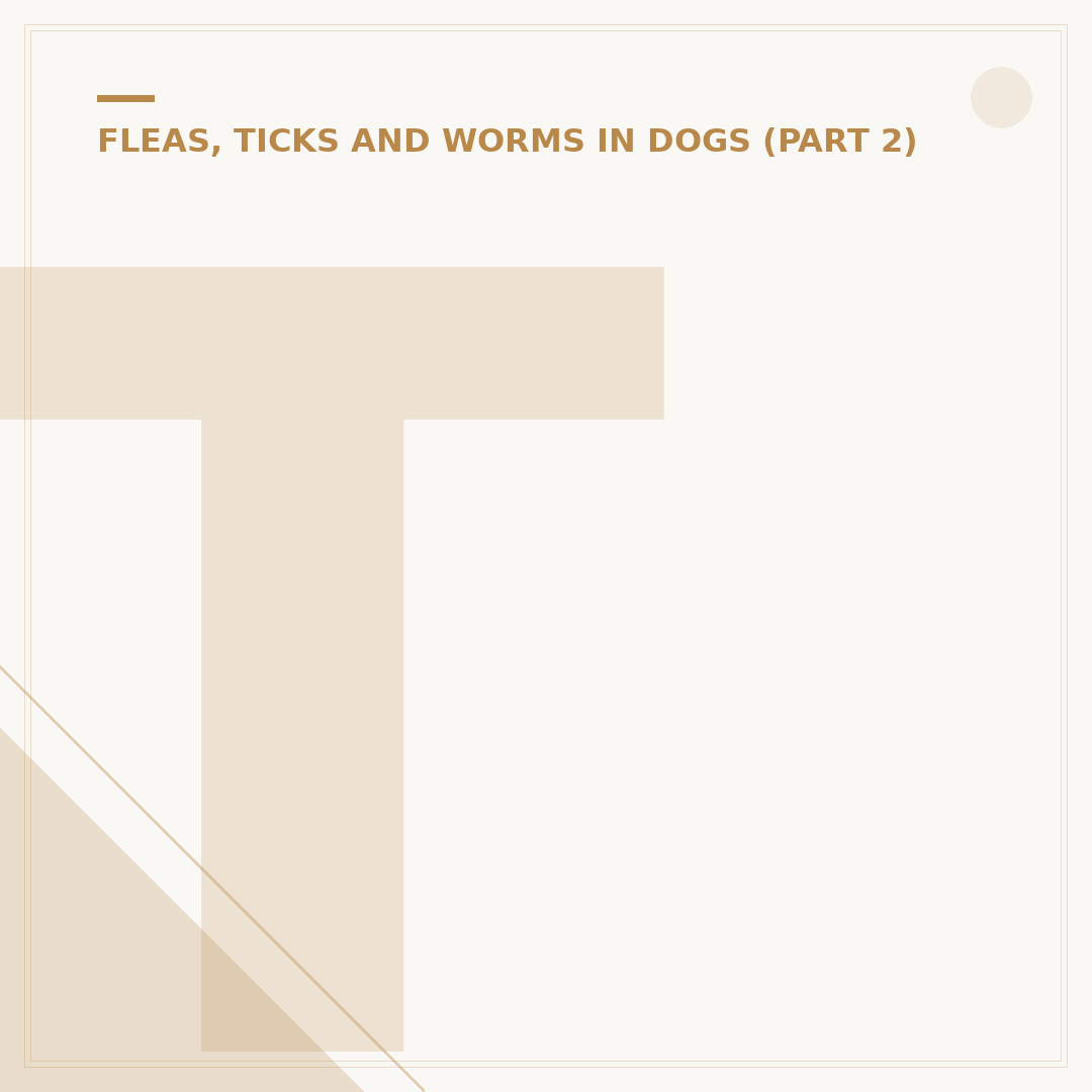 Tick Control for Dogs: Protecting Your Pet