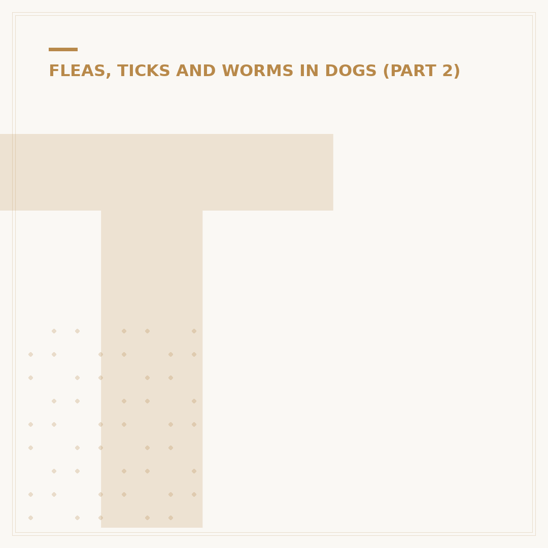 Tick on Dog Ear: Safe Removal and Prevention