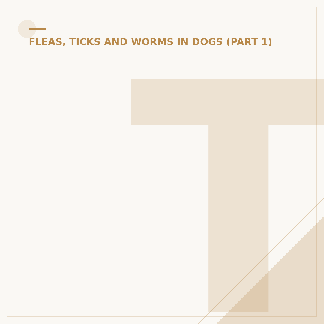 Tick Removal Tool: How to Choose and Use One
