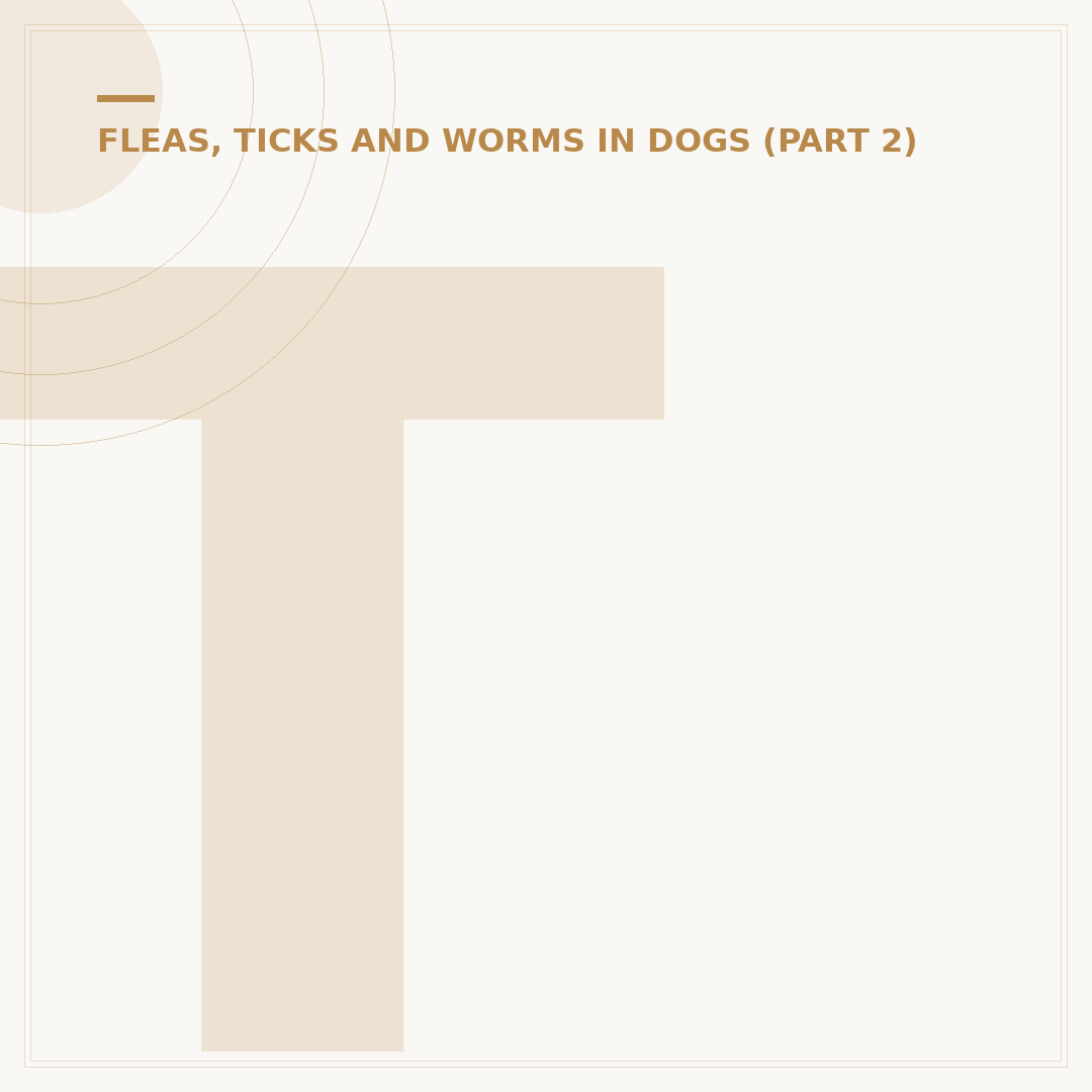 Tick Removal Tools for Dogs: Safe Extraction