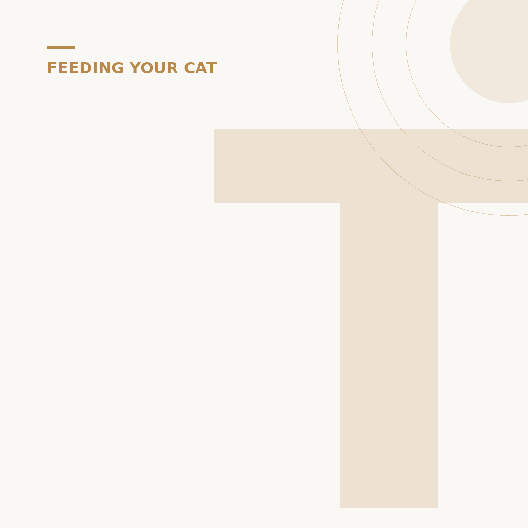 Tofu Cat Litter: What It Is & Why Your Cat Will Love It