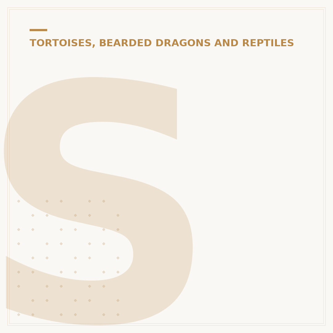 Safe Plants for Tortoises