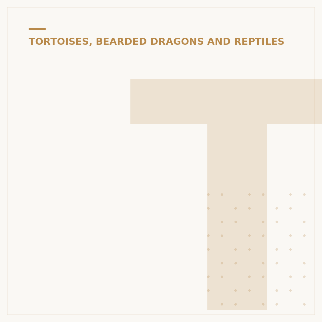 Tortoise Shell Butterfly: Identification & Care